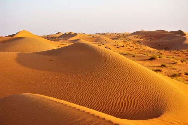 Unveiling Oman’s Untamed Beauty: A Journey to the Wahiba Sands