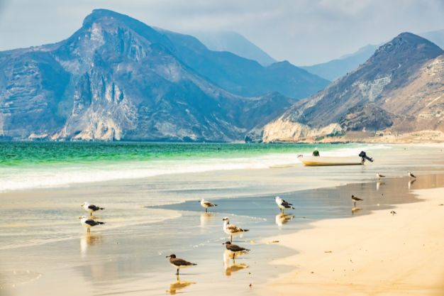 Discover the Magic of Salalah: A Hidden Gem in Oman